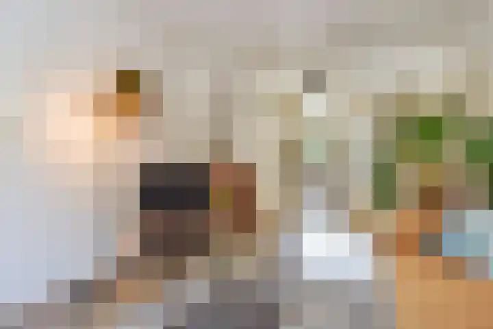 Frans Halskade 189 Rijswijk thumbnail 9