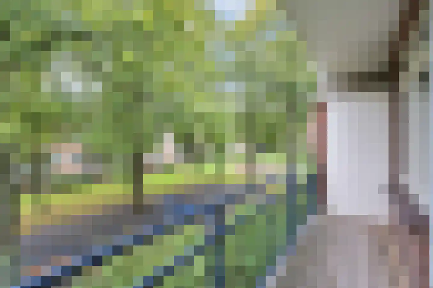Frans Halskade 195 Rijswijk thumbnail 17