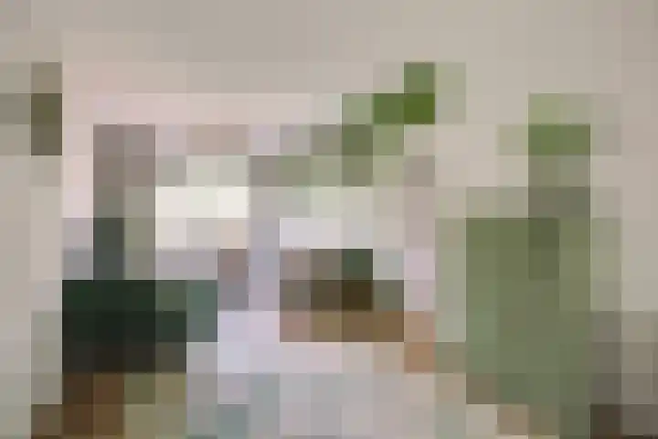 Frans Halskade 205 in Rijswijk