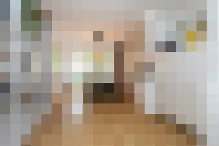 Frans Halskade 209 Rijswijk thumbnail 10