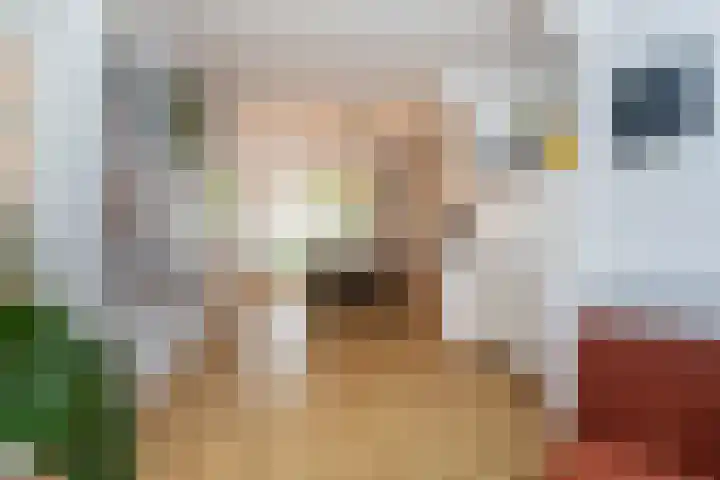 Frans Halskade 209 Rijswijk thumbnail 11