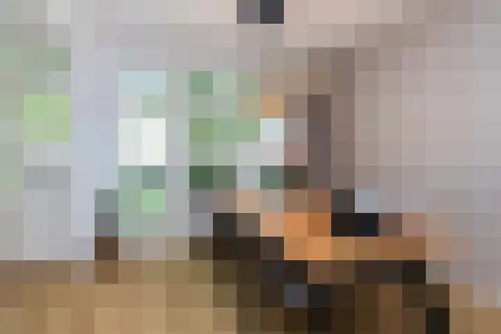 Frans Halskade 209 Rijswijk thumbnail 12