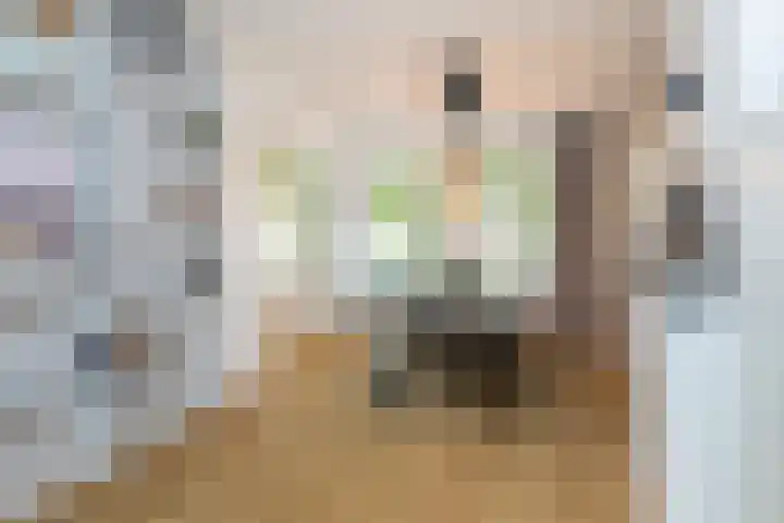 Frans Halskade 209 Rijswijk thumbnail 13