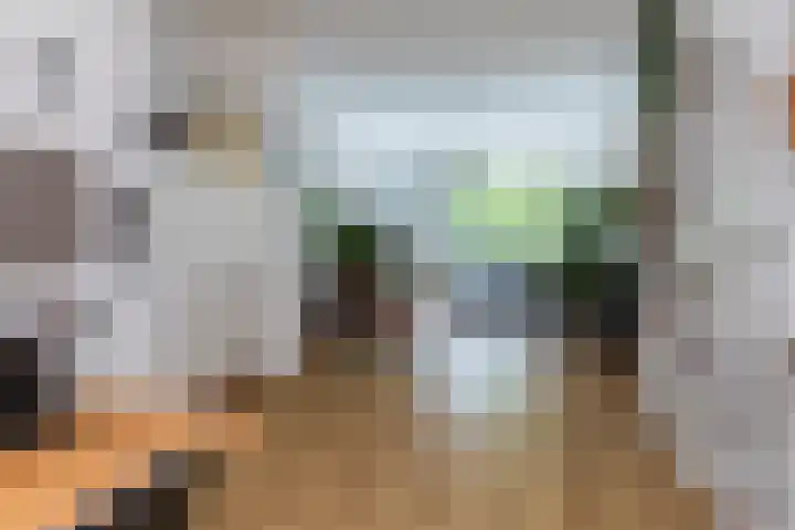 Frans Halskade 209 Rijswijk thumbnail 15