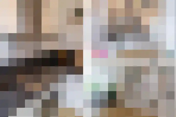 Frans Halskade 209 Rijswijk thumbnail 16