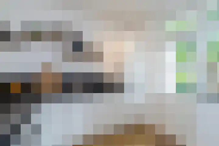 Frans Halskade 209 Rijswijk thumbnail 17