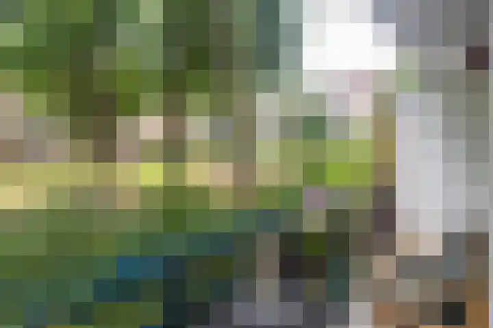 Frans Halskade 209 Rijswijk thumbnail 19