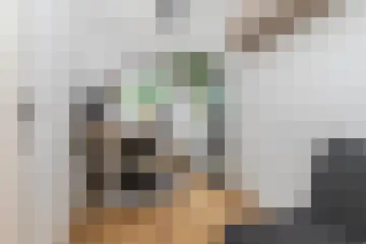 Frans Halskade 209 Rijswijk thumbnail 20