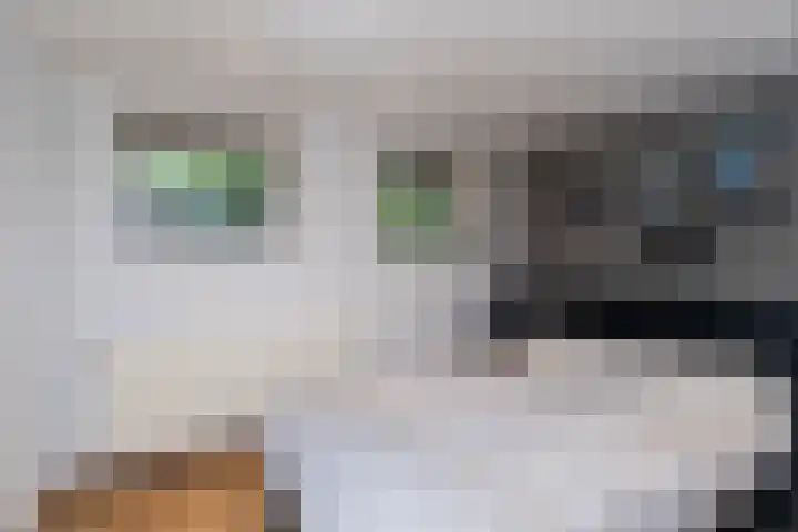 Frans Halskade 209 Rijswijk thumbnail 22