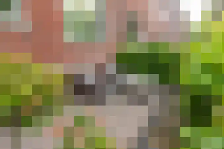 Frans Halskade 209 Rijswijk thumbnail 30