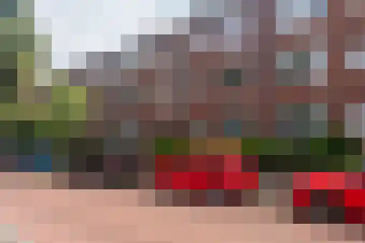 Frans Halskade 209 Rijswijk thumbnail 32