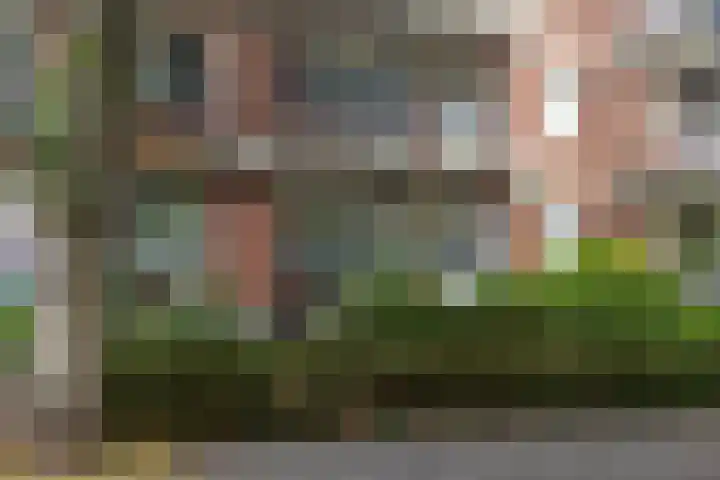 Frans Halskade 209 Rijswijk thumbnail 33