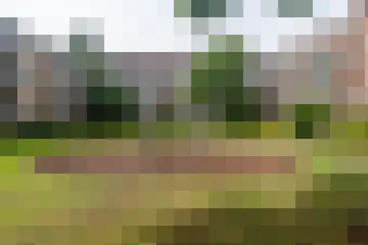 Frans Halskade 209 Rijswijk thumbnail 34