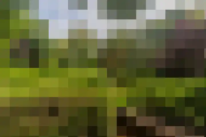 Frans Halskade 209 Rijswijk thumbnail 35