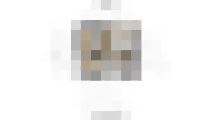 Frans Halskade 209 Rijswijk thumbnail 37