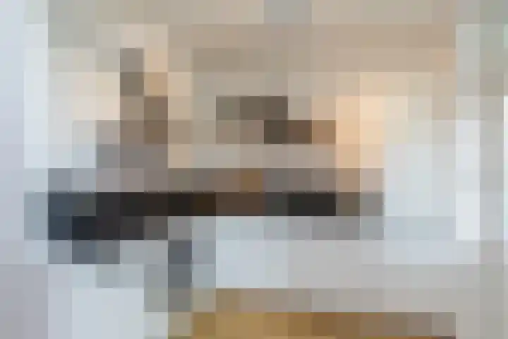 Frans Halskade 209 Rijswijk thumbnail 4