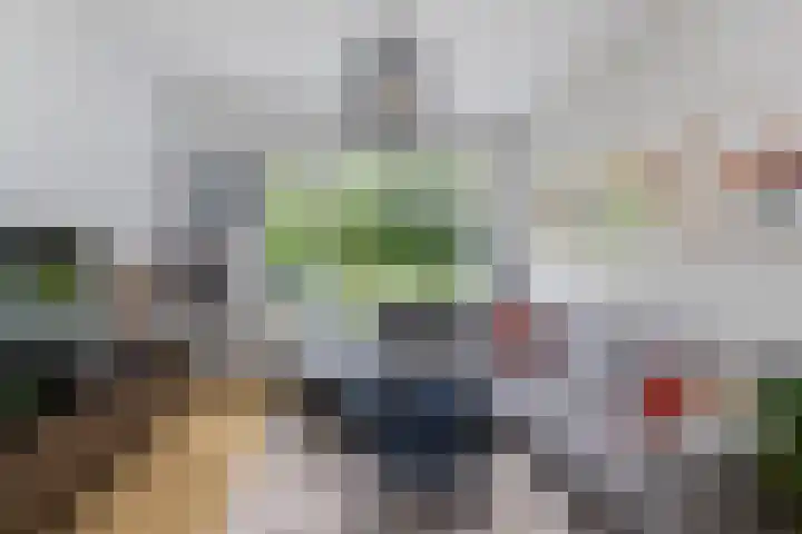 Frans Halskade 209 Rijswijk thumbnail 6
