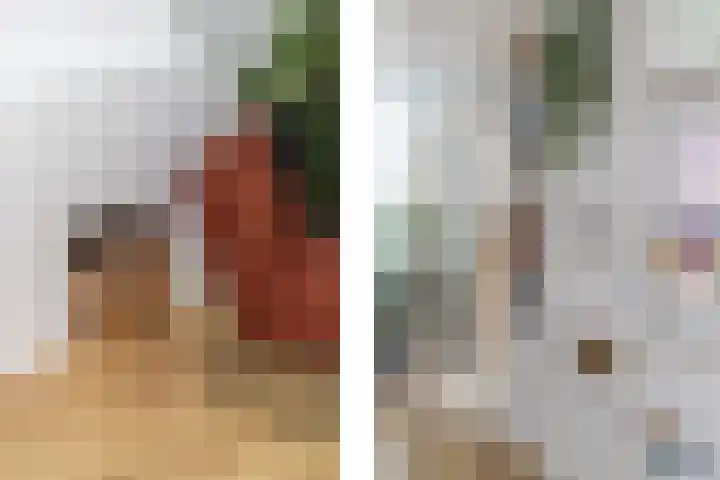 Frans Halskade 209 Rijswijk thumbnail 8