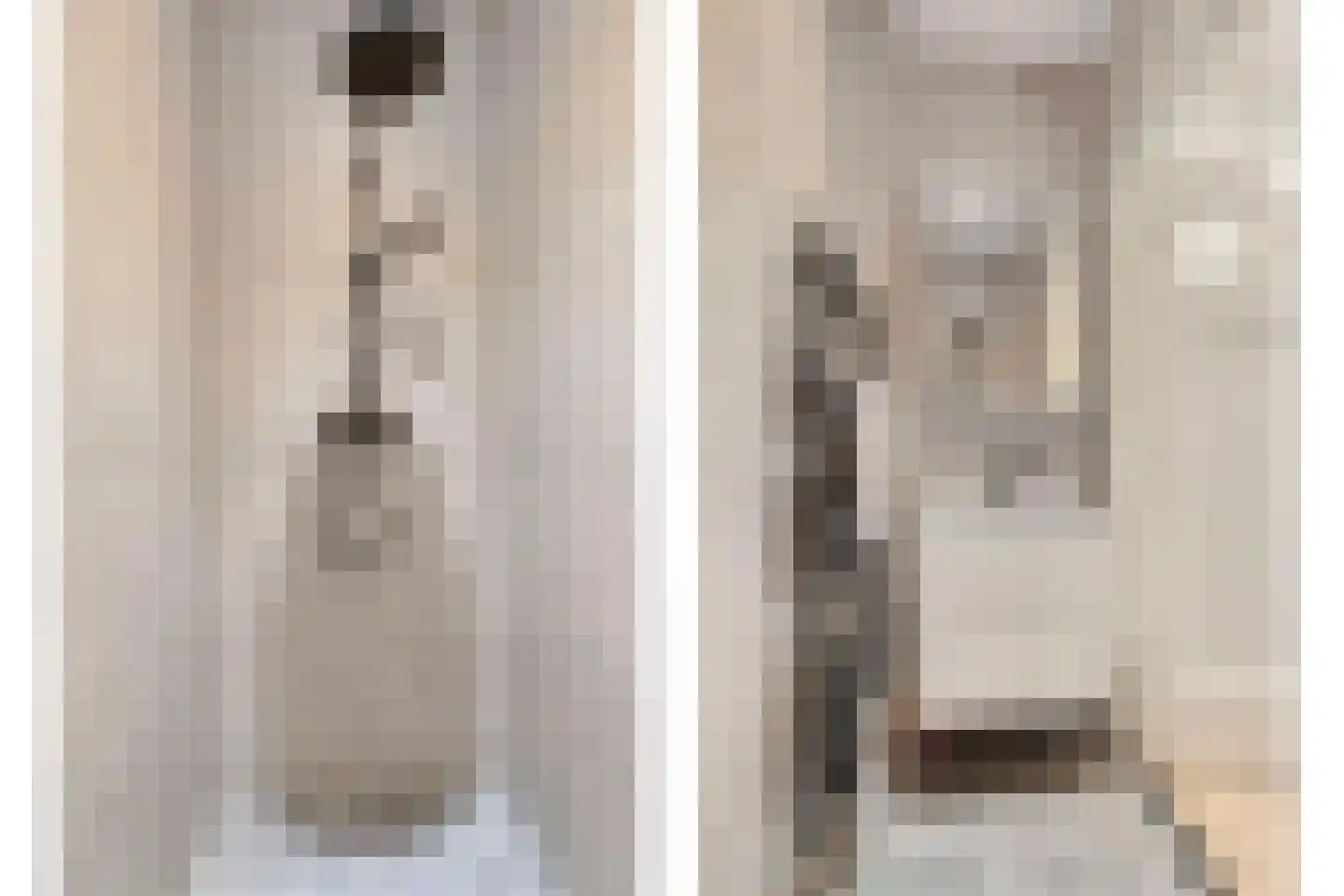 Frans Halskade 213 Rijswijk thumbnail 11