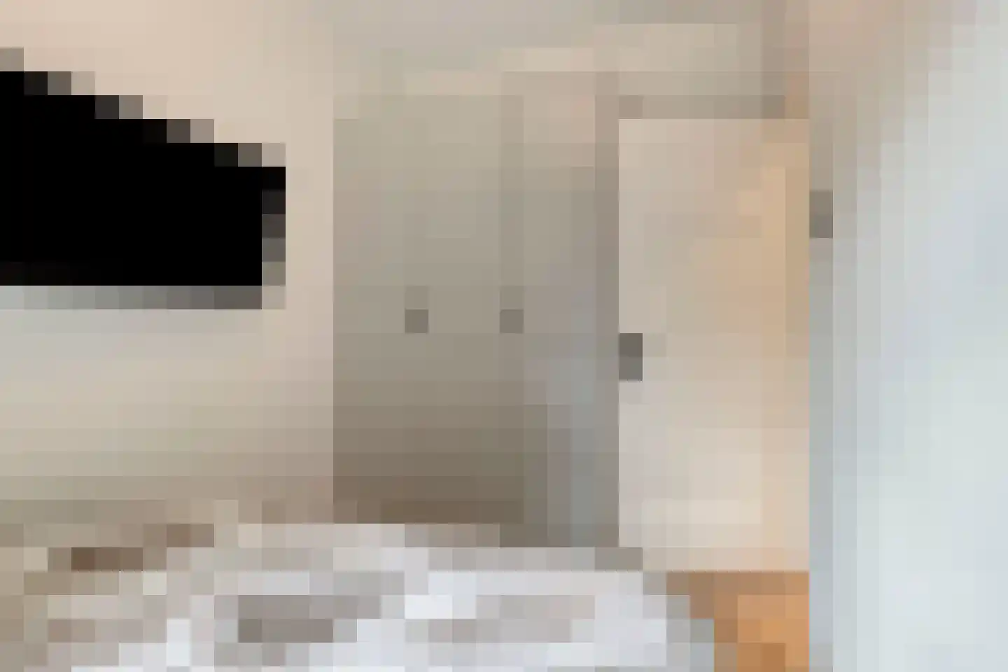 Frans Halskade 213 Rijswijk thumbnail 14