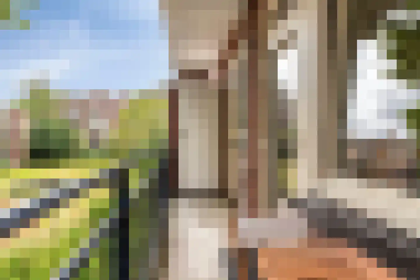 Frans Halskade 213 Rijswijk thumbnail 18