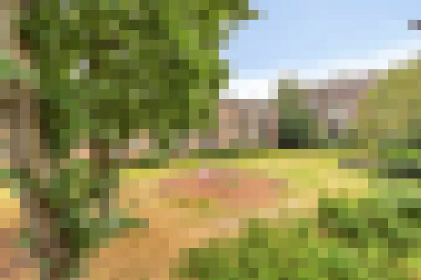 Frans Halskade 213 Rijswijk thumbnail 23