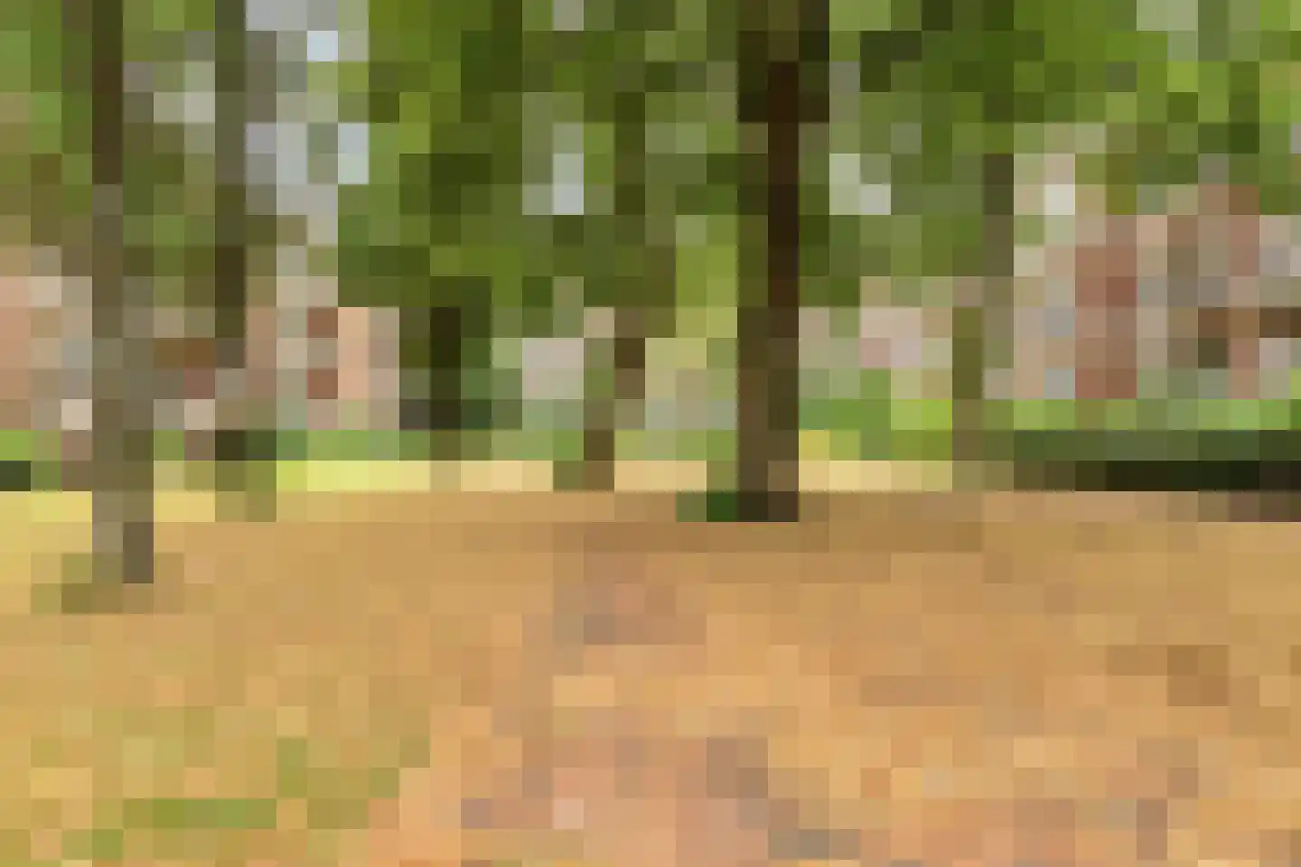 Frans Halskade 213 Rijswijk thumbnail 25