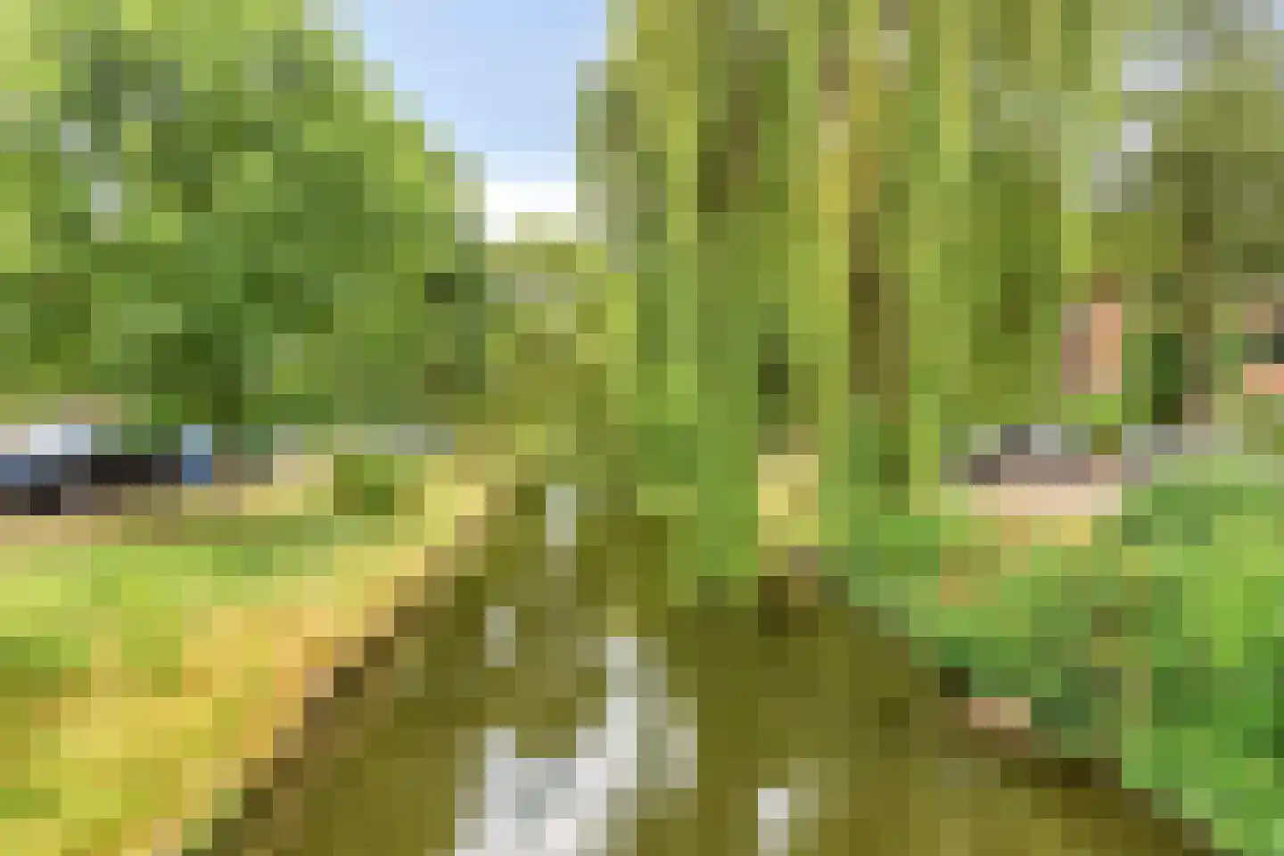 Frans Halskade 213 Rijswijk thumbnail 28