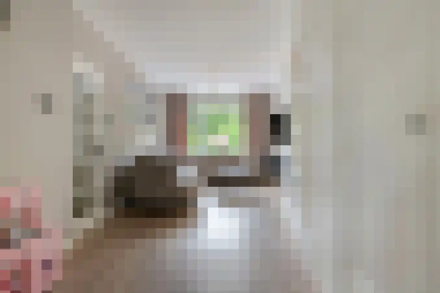 Frans Halskade 213 Rijswijk thumbnail 4
