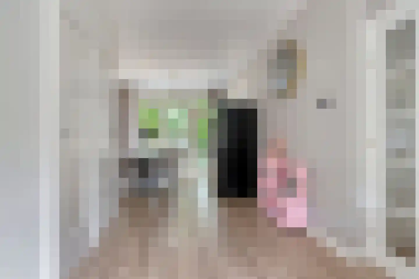 Frans Halskade 213 Rijswijk thumbnail 5