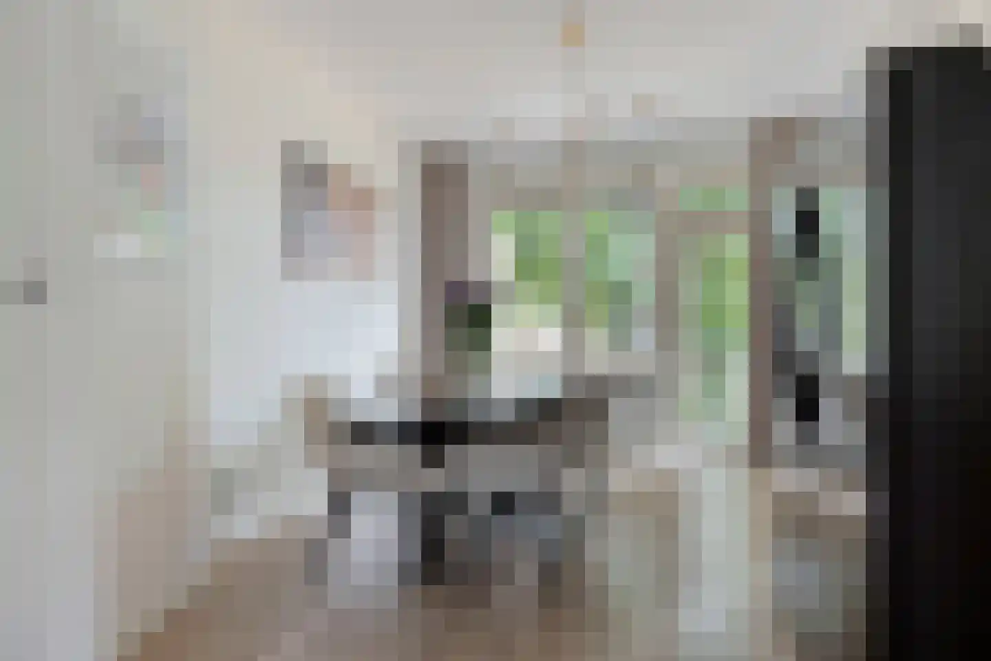 Frans Halskade 213 Rijswijk thumbnail 7