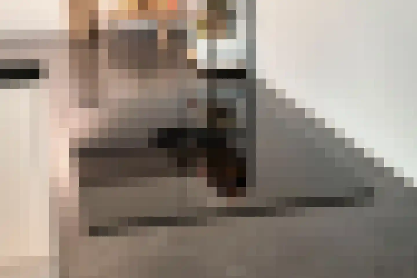Frans Halskade 213 Rijswijk thumbnail 9