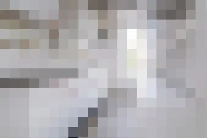 Frans Halskade 29 Rijswijk thumbnail 16