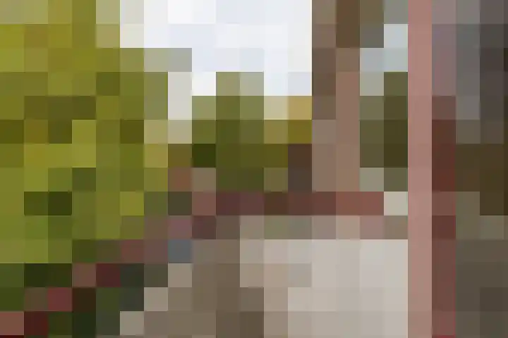 Frans Halskade 29 Rijswijk thumbnail 17