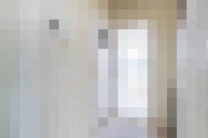 Frans Halskade 29 Rijswijk thumbnail 19