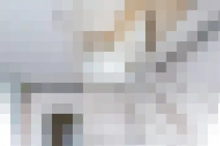 Frans Halskade 29 Rijswijk thumbnail 22