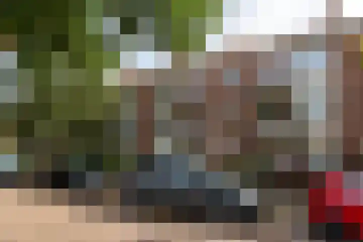 Frans Halskade 29 Rijswijk thumbnail 29