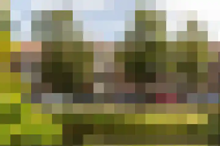 Frans Halskade 29 Rijswijk thumbnail 30