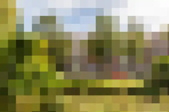 Frans Halskade 29 Rijswijk thumbnail 31