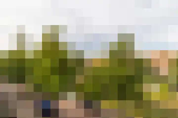 Frans Halskade 29 Rijswijk thumbnail 5
