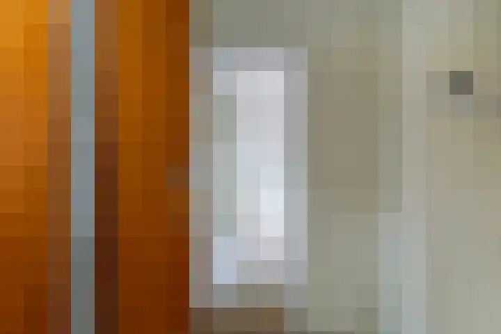 Frans Halskade 29 Rijswijk thumbnail 6