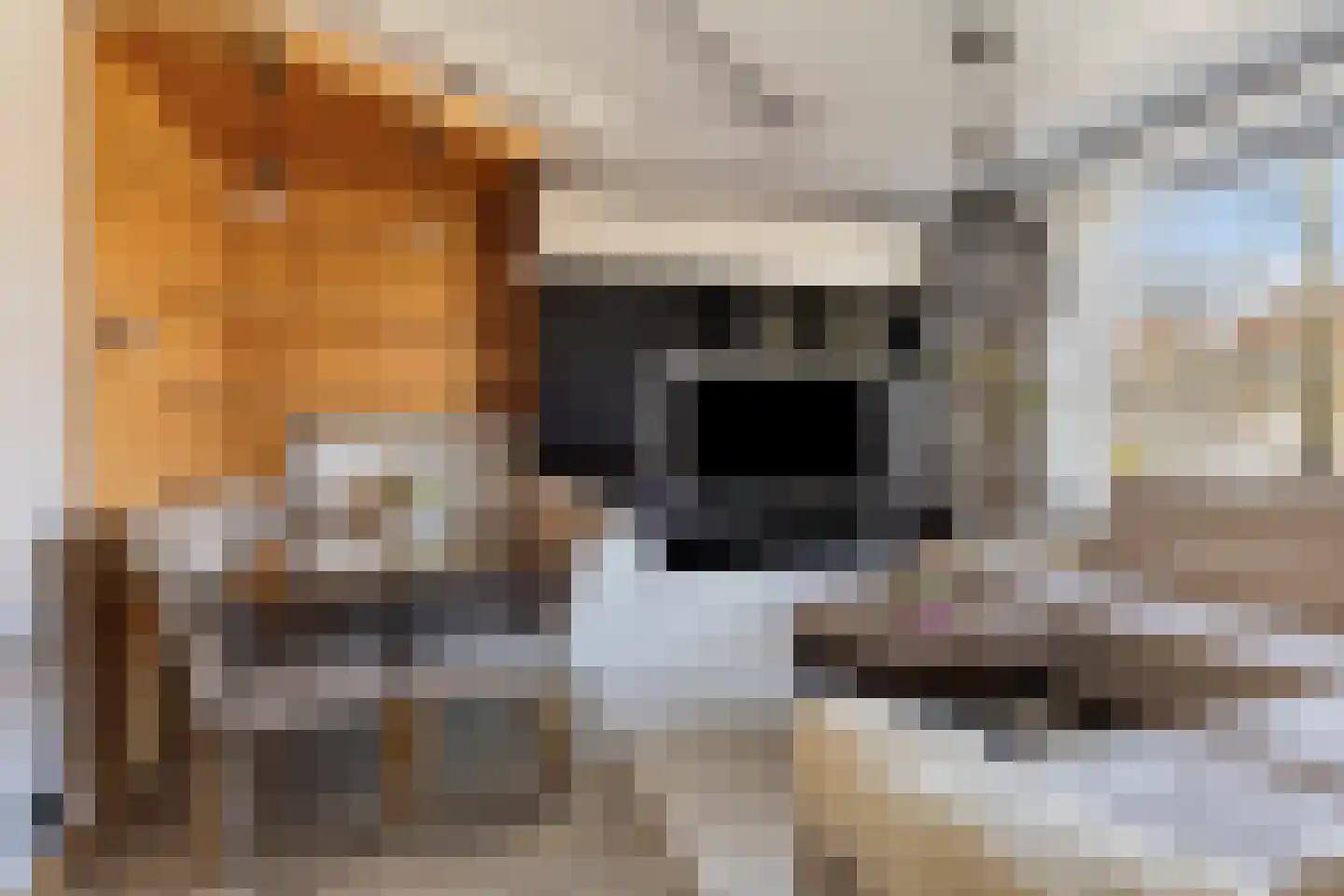 Frans Halskade 33 Rijswijk thumbnail 14