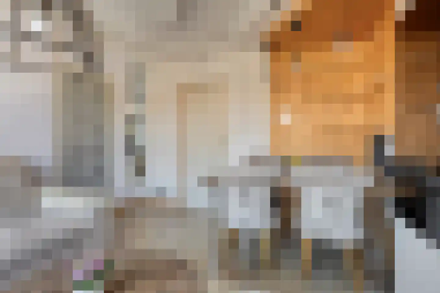 Frans Halskade 33 Rijswijk thumbnail 15