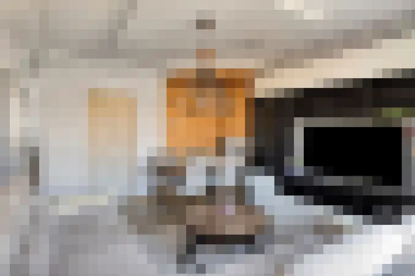Frans Halskade 33 Rijswijk thumbnail 16