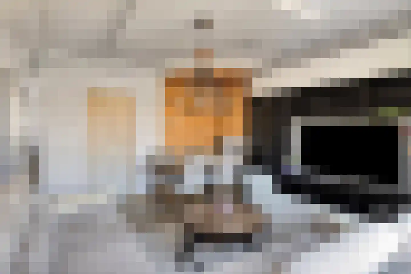 Frans Halskade 33 Rijswijk thumbnail 17