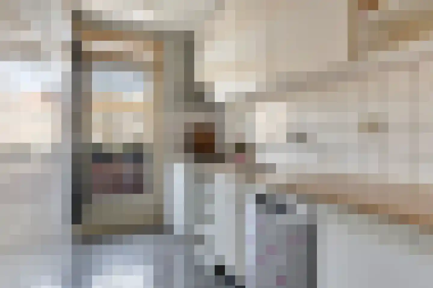 Frans Halskade 33 Rijswijk thumbnail 18