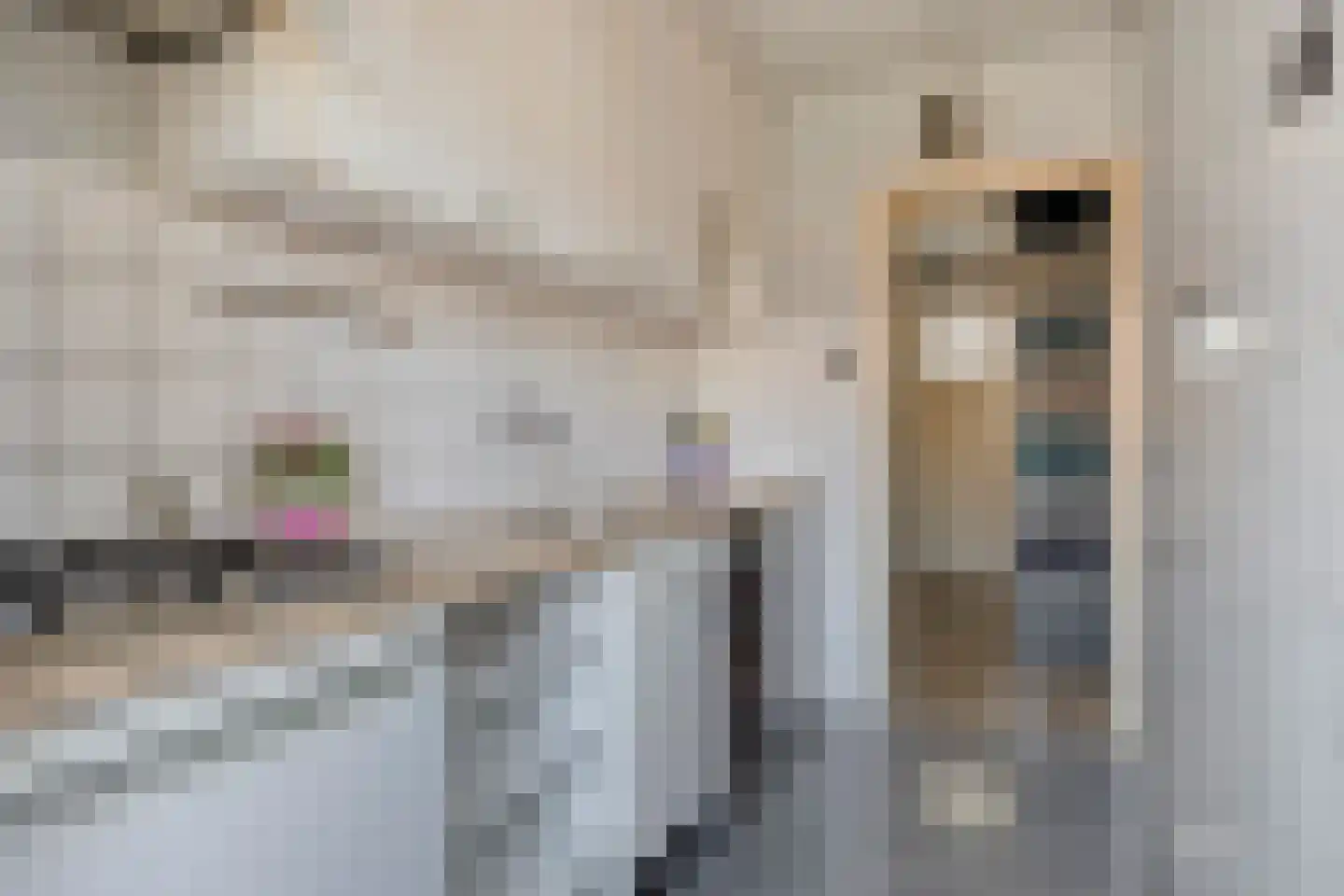Frans Halskade 33 Rijswijk thumbnail 21