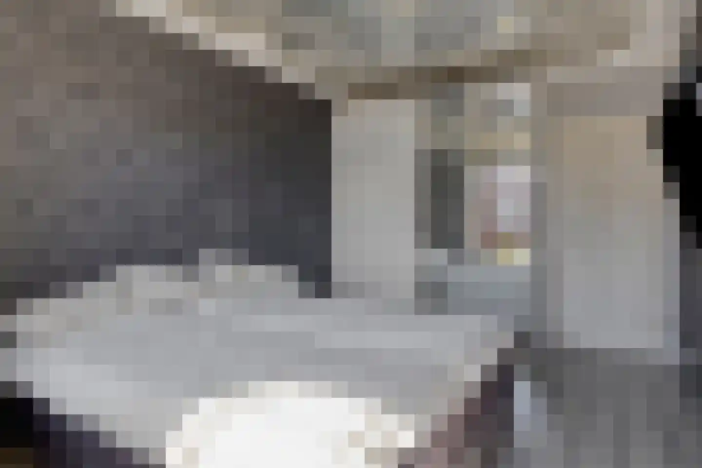 Frans Halskade 33 Rijswijk thumbnail 27