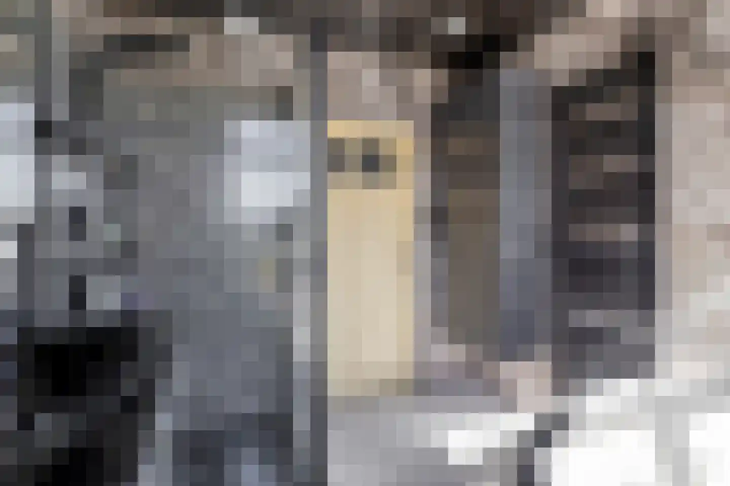 Frans Halskade 33 Rijswijk thumbnail 30