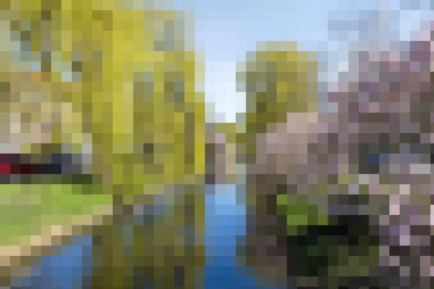 Frans Halskade 33 Rijswijk thumbnail 37